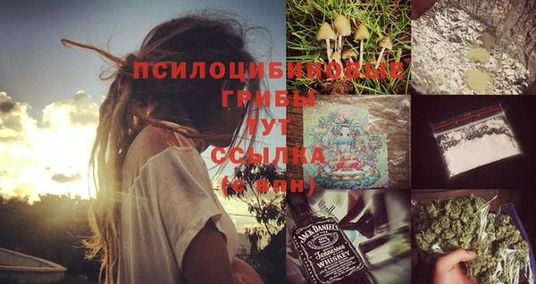 Альфа ПВП Алексеевка