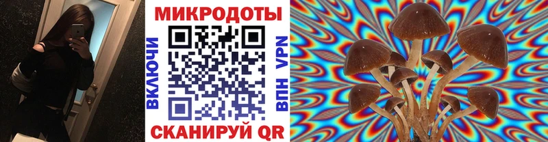 Галлюциногенные грибы прущие грибы  купить наркоту  KRAKEN сайт  Туринск 